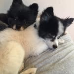 Todd Funk - @tfunk1542 - Instagram
