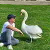 Toto & Gabor - @toto.gabor - TikTok