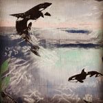 I AM YAVOOGI - @toddcgagnon - Instagram
