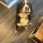 Todd Galbraith - @todd.galbraith.3921 - Instagram