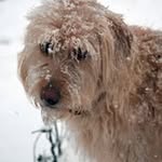 Todd Galbraith - @todd_d_galbraith - Instagram