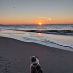 Todd T. Gallion - @todd.gallion.7 - Instagram
