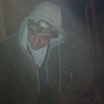 Todd Galloway - @gallowhat - Instagram
