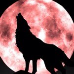Todd Galloway - @sirnorm - Instagram