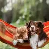 Kaushlendra_Kr_Sharm - @todd_gamble_jr__ - TikTok