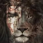 Todd Gambler - @toddgambler - Instagram