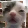 spam12u - @toddgarrison1400 - TikTok