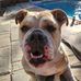 Todd Gaudet - Facebook