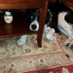 Todd St Germain - @todd.stgermain.5 - Instagram