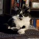 Todd Gibbons - @todd.gibbons.9 - Instagram