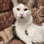 Todd Gillard - @ttwg0695 - Instagram