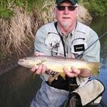 Todd Gillard - @toddgillard - Instagram