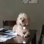 Todd Gillespie - @todd.gillespie.79 - Instagram