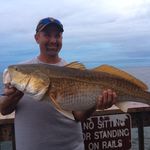 Todd Gillespie - @gillespie1019 - Instagram