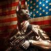 Todd Gillespie - @straywardog - TikTok