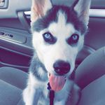 Todd Gober - @gobertodd - Instagram
