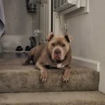 Todd Godwin - @todd_thejob - Instagram