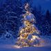 Todd Goodfellow - Facebook
