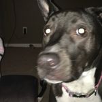 Todd Goodrich - @todd.goodrich.101 - Instagram