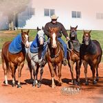 Todd Grant - @todd_grant_horses - Instagram