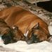 Todd Graybill - Facebook