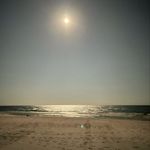 Todd Greiner - @brewtodd - Instagram