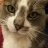 Todd Grenier773 - @toddgrenier1 - TikTok