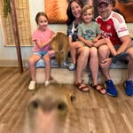 Todd Gretton - @phightklub - Instagram