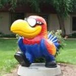 Todd Grigg - @todd.grigg - Instagram
