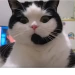 Todd Grove - @todd.grove - Instagram