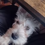 Todd Gunter - @toddgunter1 - Instagram