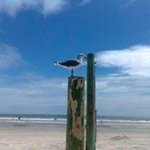 Todd Haberman - @habermantodd - Instagram