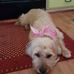 Todd Haberman - Facebook