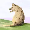 toddhaberman - @toddhaberman - TikTok