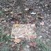 Todd Stuart Hales - Facebook