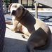 Todd Halvorson - Facebook