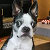 Todd Hamm - @user70374996 - TikTok