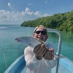 Todd Hammel - @hammeltodd - Instagram