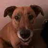 Todd Hammel - @toddhammel - TikTok