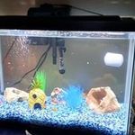 Todd Haney - @todd.haney.980 - Instagram