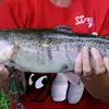 Todd Shannon - @toddshannon3 - TikTok