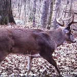 Todd Harman - @todd.harman.927 - Instagram