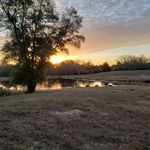 todd harrod - @_toddharrod - Instagram