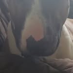 Todd Hart - @toddhart904 - Instagram