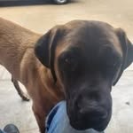Todd Hatfield - @toddhatfield19 - Instagram