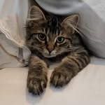 Todd & Linda Haug - @turnip_and_friends - Instagram