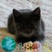 Todd Hay - Facebook