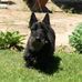 Todd Hay - Facebook