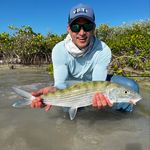 Todd Helman - @todd_helman999 - Instagram