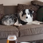 Todd Helmer - @toddhelmer4 - Instagram